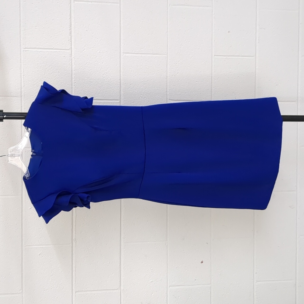 Ashley Lauren size 6 Dress.   .5